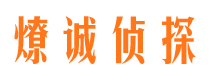 大通侦探